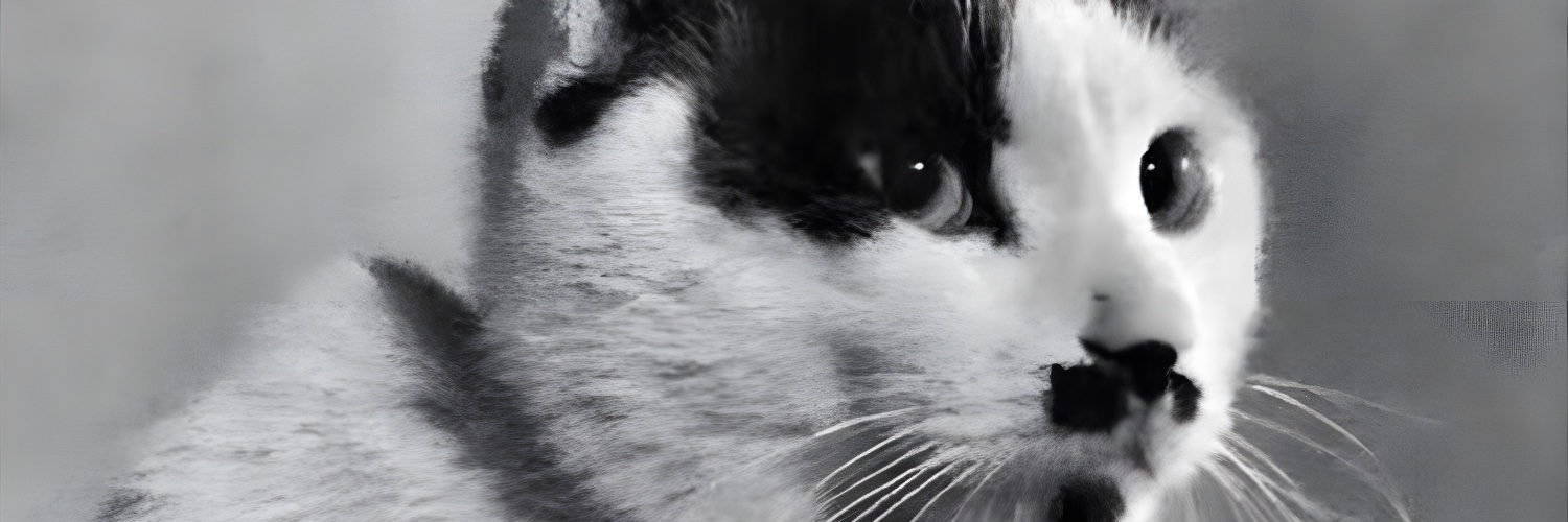 Feline Guardians's banner