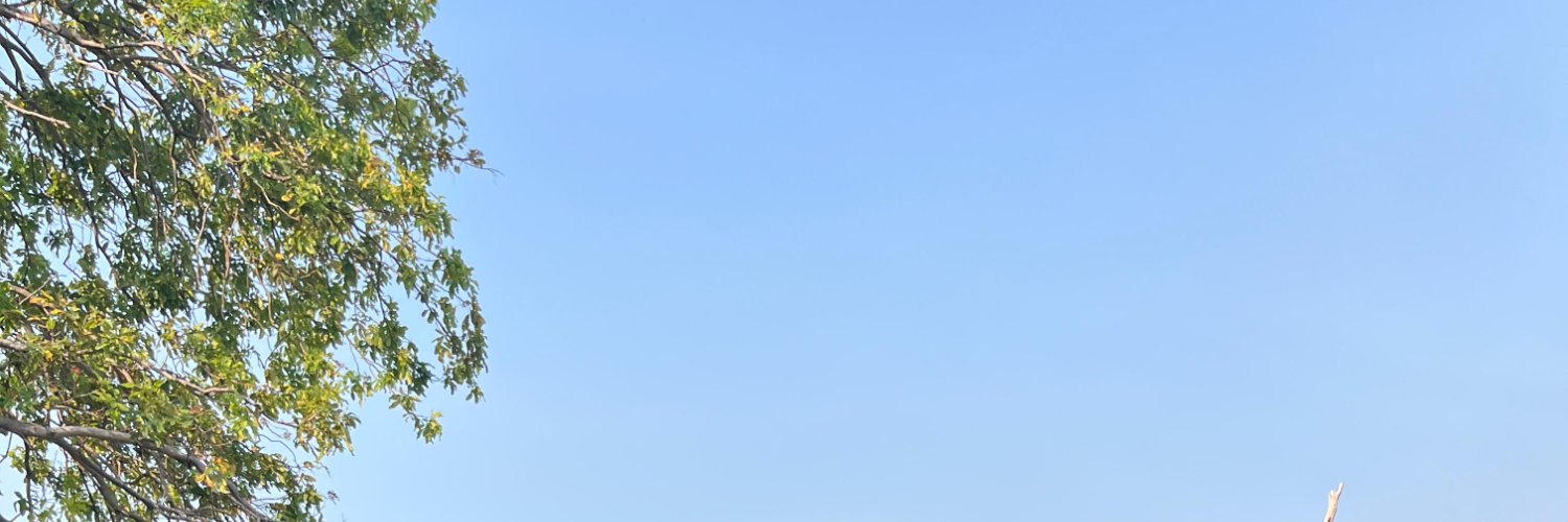 zsaaa's banner