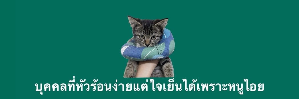 บุคคลที่หัวร้อนง่ายแต่ใจเย็นได้เพราะหนูไอย's banner