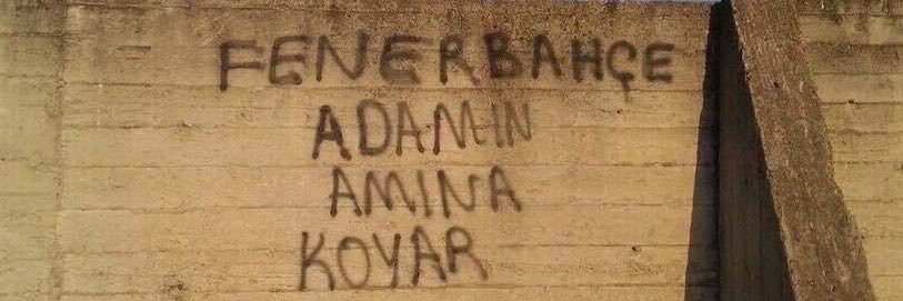 nesli's banner