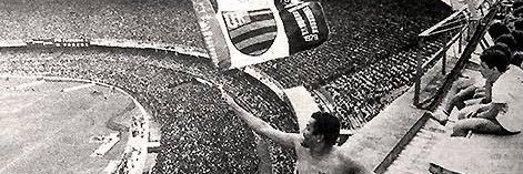 lion's banner