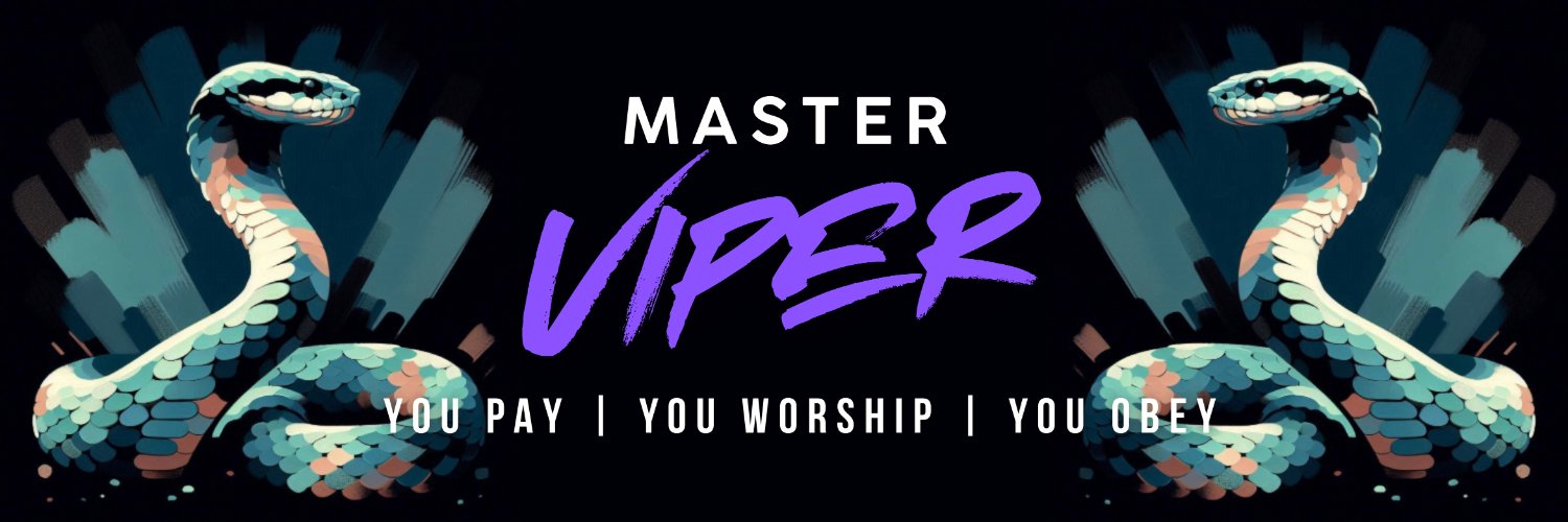 Master Viper's banner