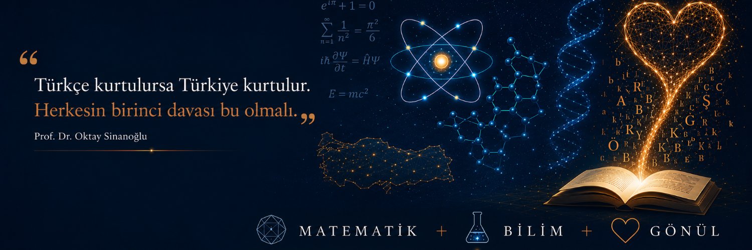 Oktay Sinanoğlu's banner