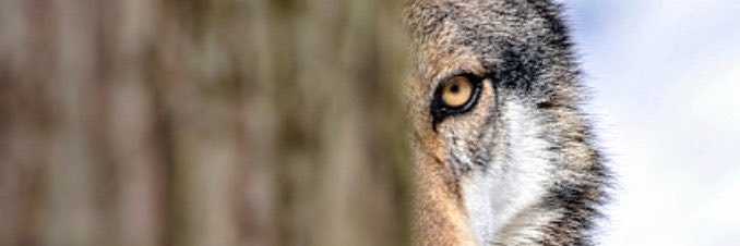 İLbeY🇹🇷's banner