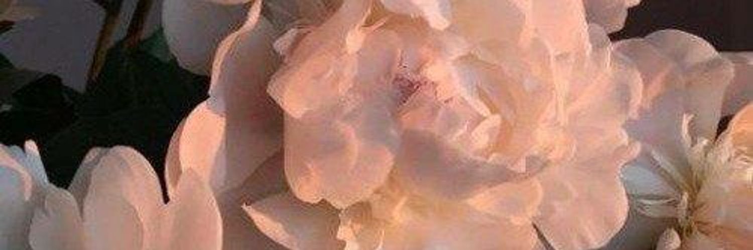 whatyouknowboutlove's banner