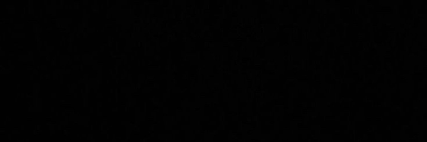 vito's banner
