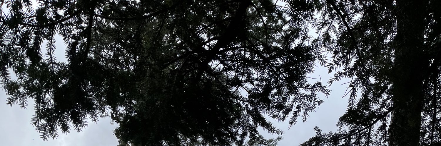 lucy22's banner