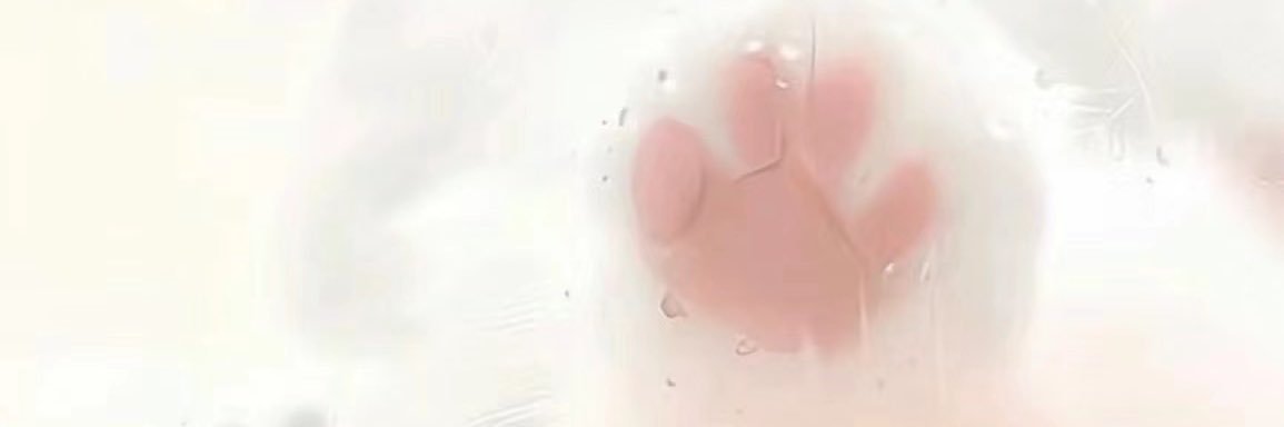 凶残的小白兔🐰's banner