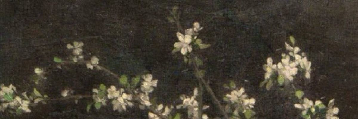 jas 𐙚's banner