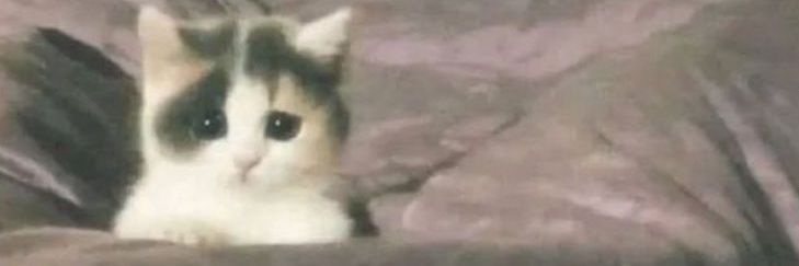 o0da1i's banner