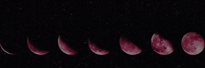 m00nlight☾'s banner