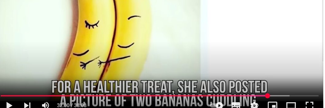 Savanna Fan account's banner