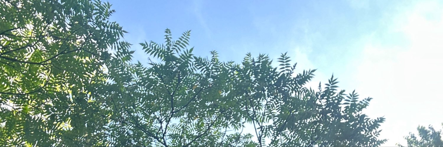 Cherry's banner
