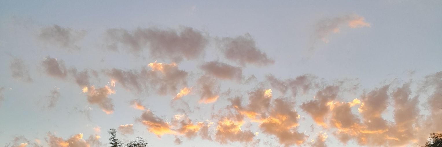 Estefanía's banner