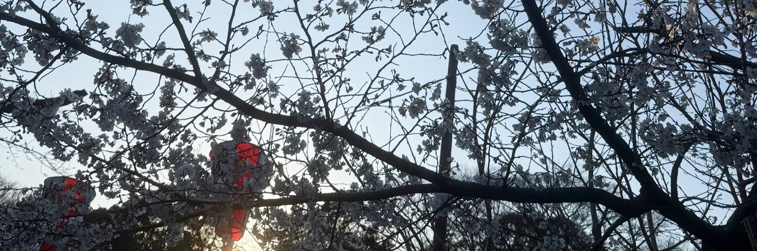 にくまんちゃん's banner