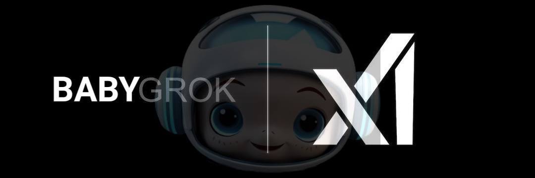 BabyGrok's banner