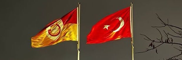 alp's banner