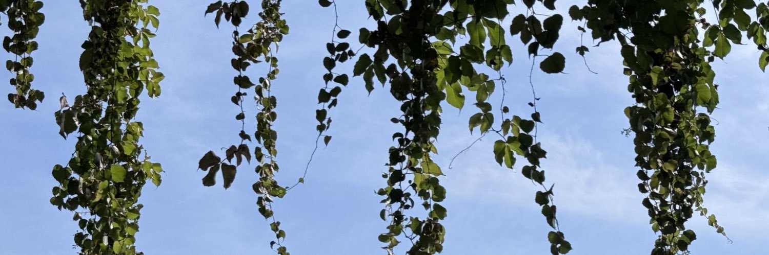 𝙔𝙄𝙆𝙀's banner