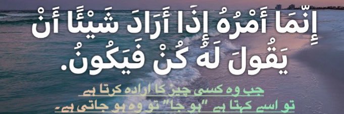 Rabia Malik's banner