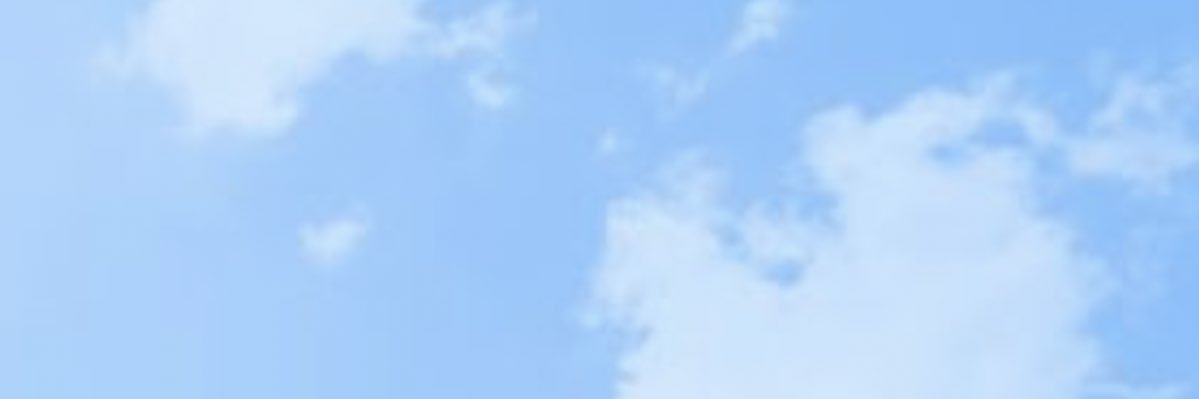 Mickie's banner
