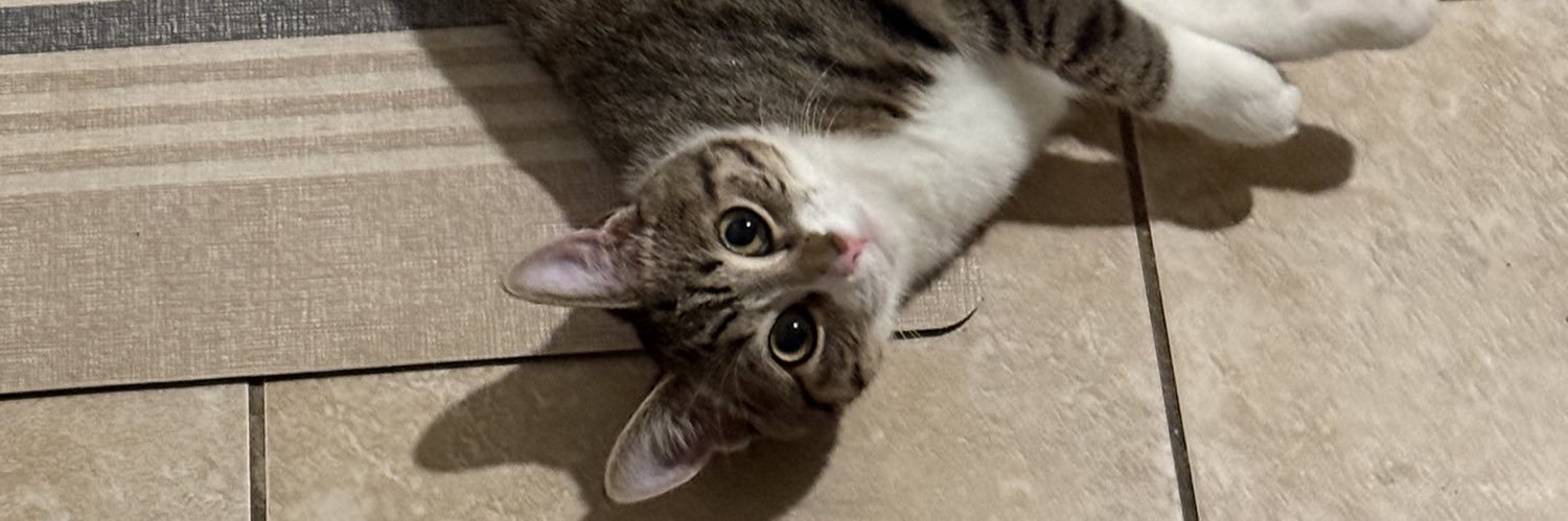 rubykittenlover's banner