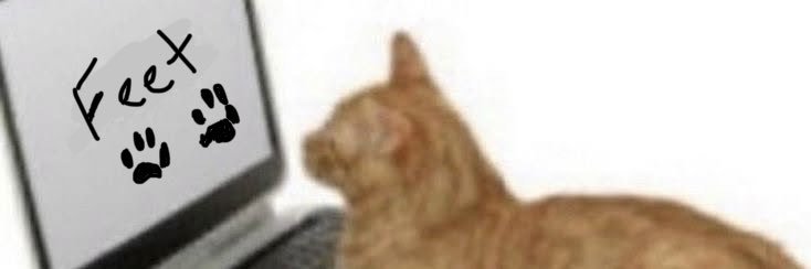 ˙✦ chip's banner