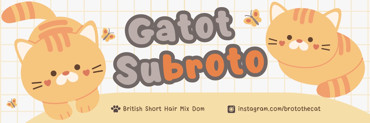 Broto 🐈💨's banner