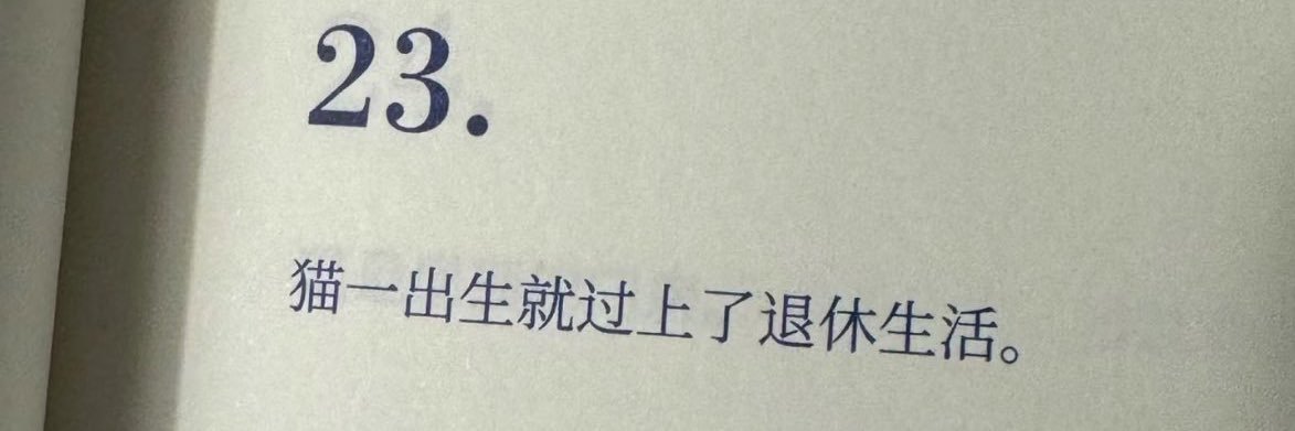 西塔's banner