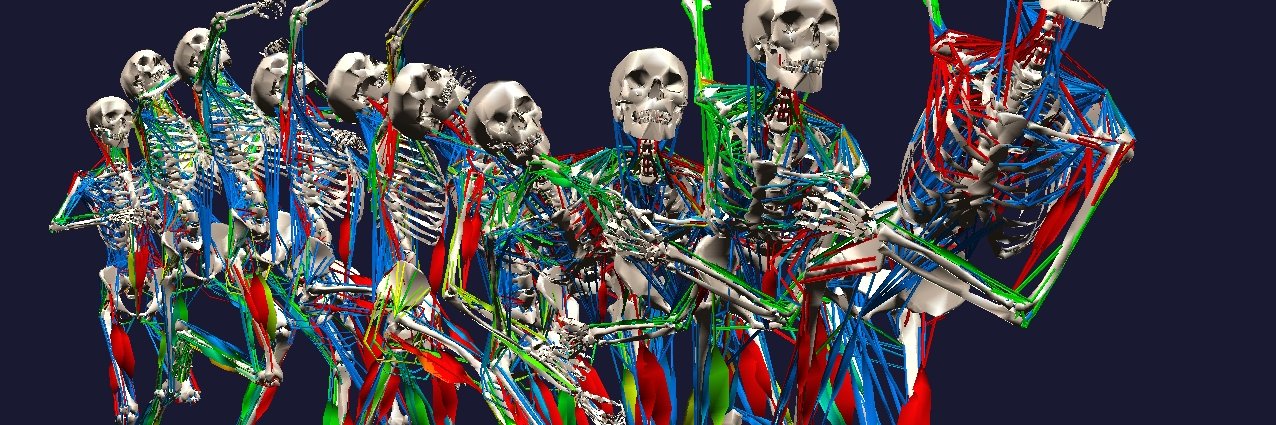 BoB Biomechanics's banner