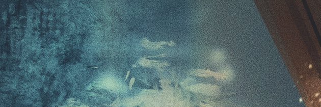ele's banner