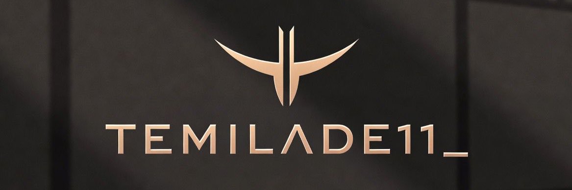 Temilade's banner