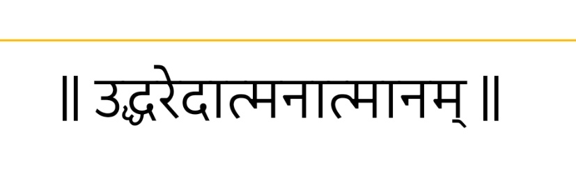 ऋतिक यादव's banner