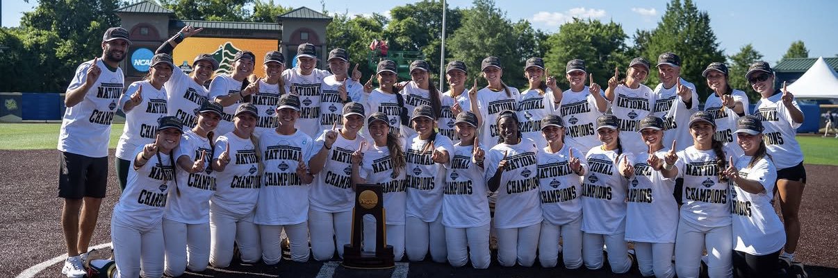 Division II Softball's banner