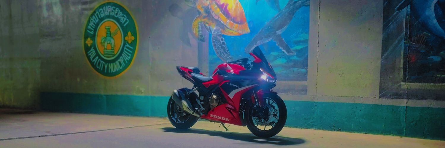 𝕾𝖙𝖊𝖋𝖆𝖓🦋's banner