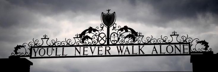 zd's banner