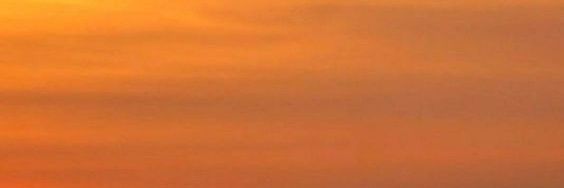 filtered life's banner