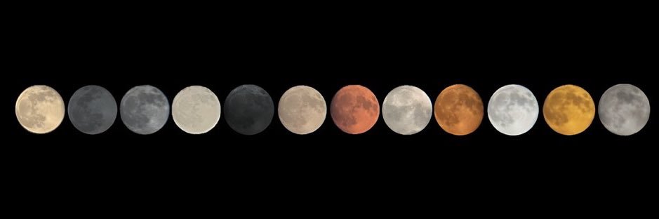 Curiosity Films's banner