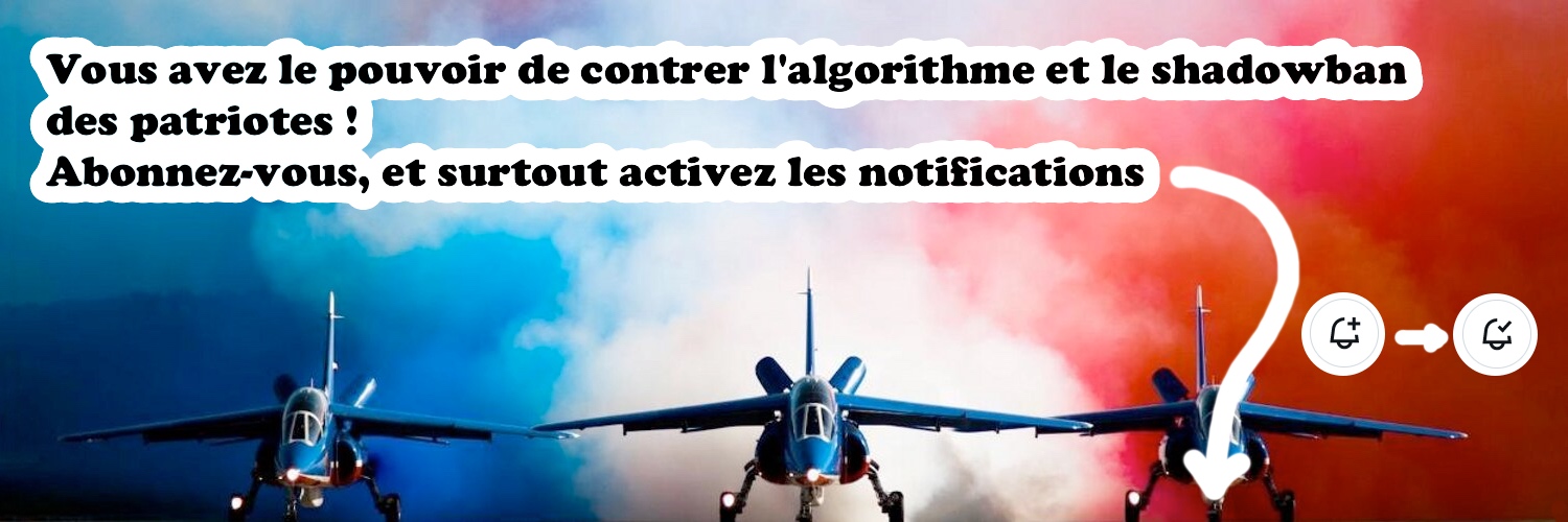 🇫🇷 French Patriot 🇫🇷's banner