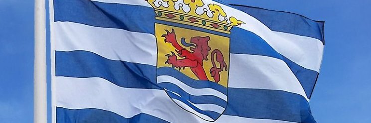 Fine's banner