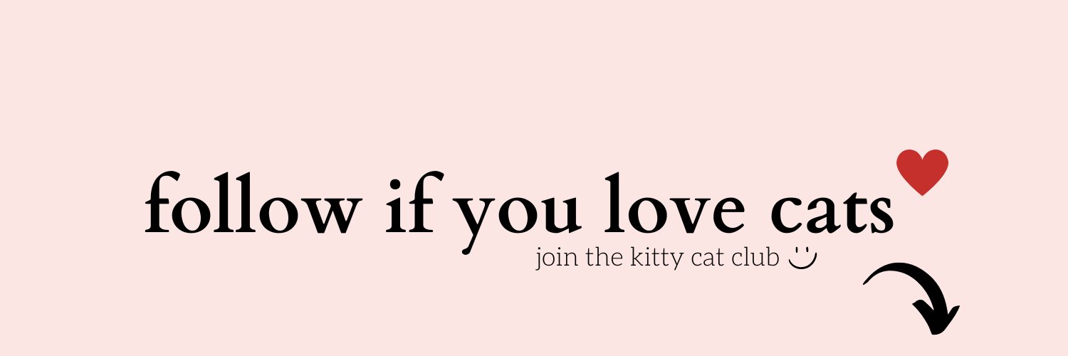 Kitty Cat Empire's banner