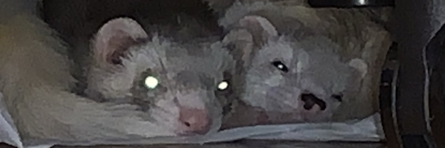 多部いなば🦡自宅RECやってます's banner
