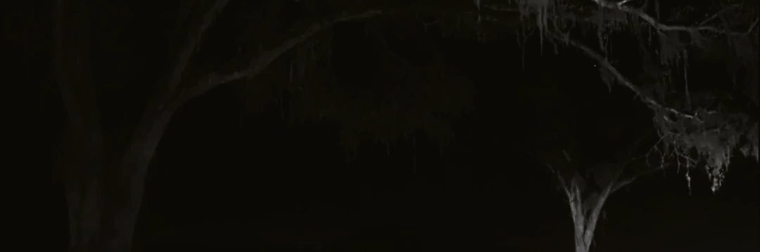 noah ♱'s banner