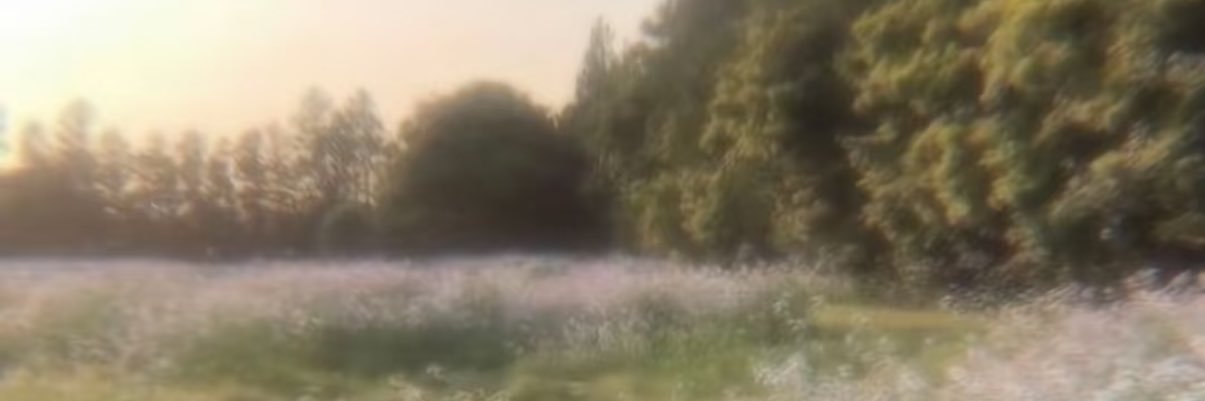鱼⁸与⁹绿⁶与⁴驴's banner