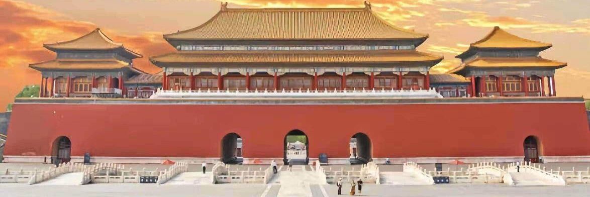 信鸽🇨🇳's banner