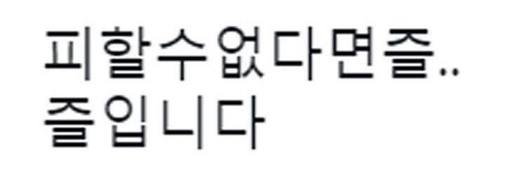 초애's banner