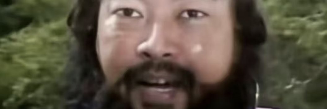 周期手牛牛's banner