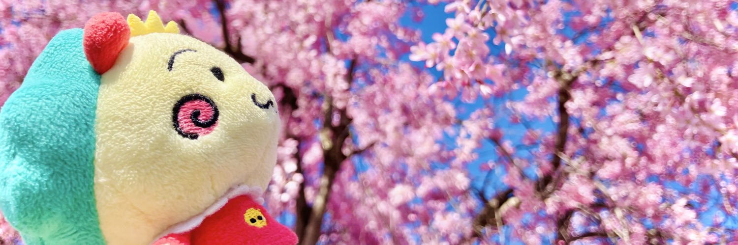 ★も〜も▫︎蒙昧🦔🇯🇵🍊フォロバ不要⭐︎'s banner