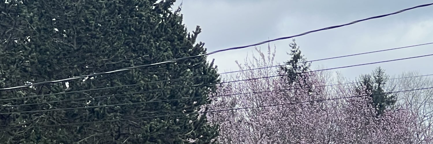 judith's banner