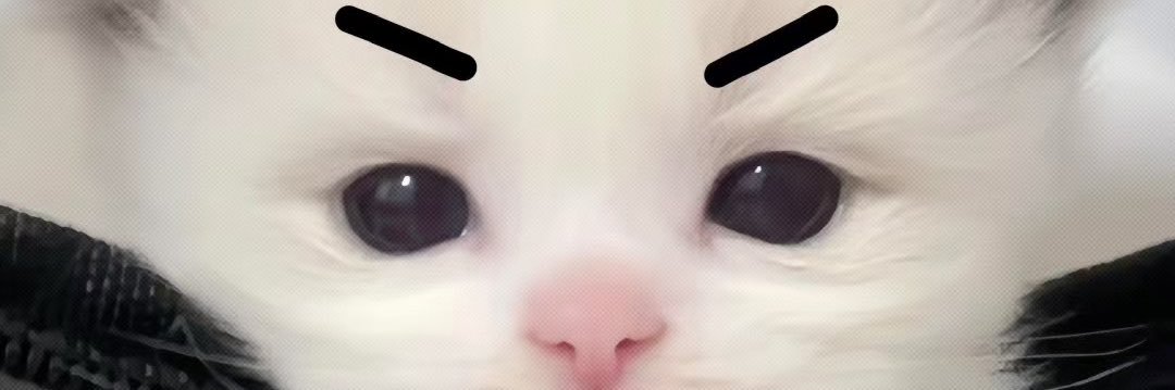 喵喵快到了's banner