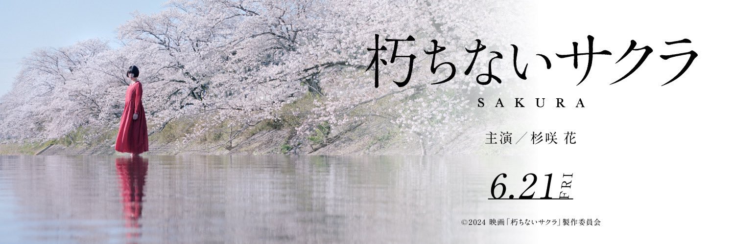 映画『朽ちないサクラ』's banner
